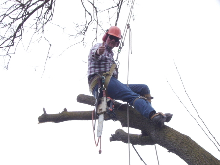 Brian the Treeman