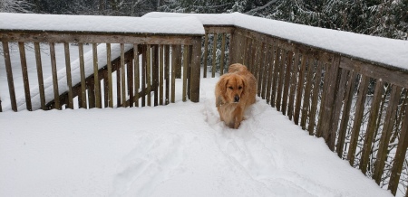 Lancer in Feb 2021 Snowstorm 