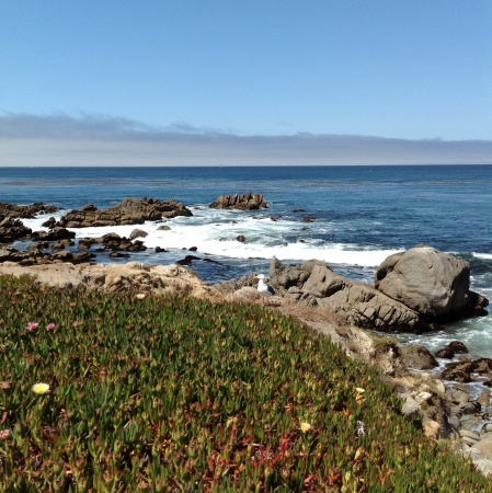 Monterey Peninsula