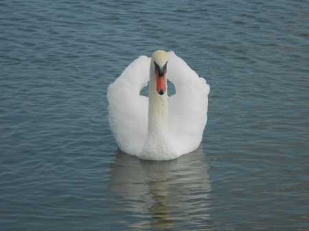 At Lake Erie... She was posing for me....