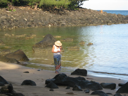 Viewing the beautiful sea life with caution