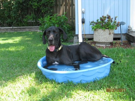 Saul taking a summer soak.