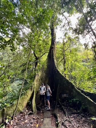 Costa Rica.   Veragua Rain Forest. 