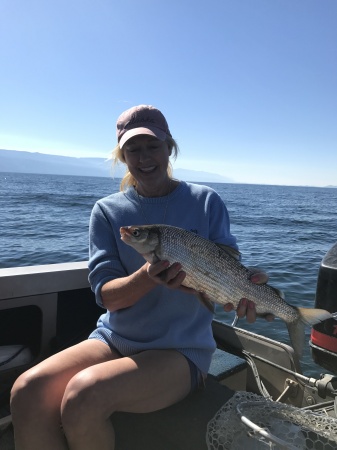 Whitefish Flathead Lake Montana,