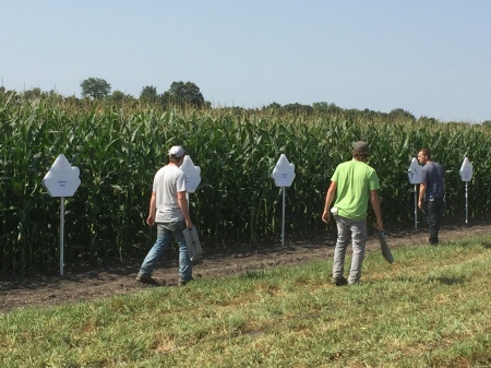 Working Corn Seed Variety Trials  in Manitoba