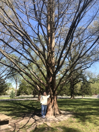 Tower Grove Park Walk