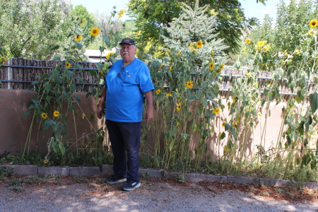 Sunflowers and I.