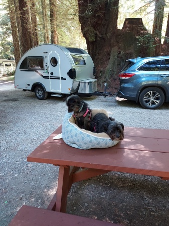 Olive and DeDe's new Camp Trailer