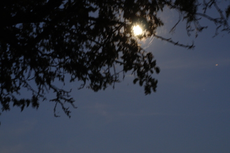 A SUMMER MOON