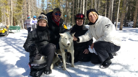 Colorado Dog Sledding