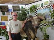 Two bulls in Malaga, Spain