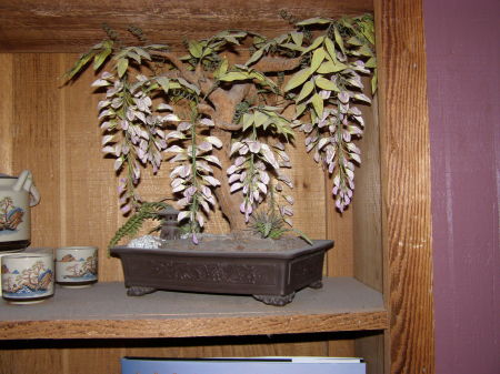 Wisteria Silk Bonsai Tree