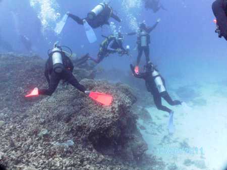 Austrailan Divers on the Great Barrier Reef