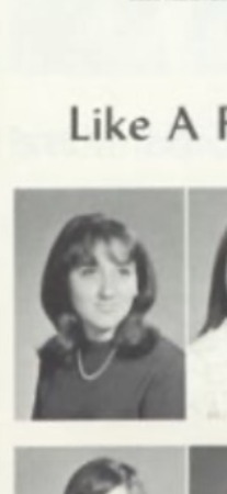 Sandra Dane's Classmates profile album