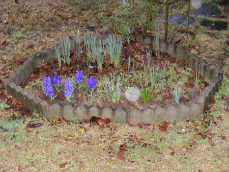 front flower bed