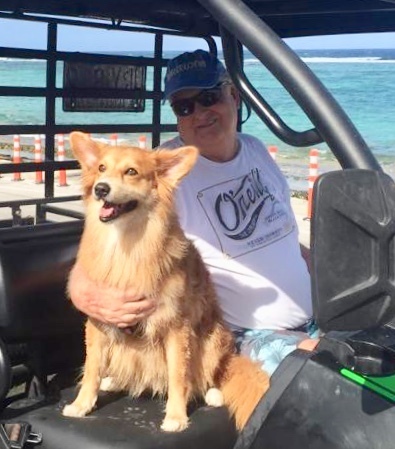 Island vacation with our dog