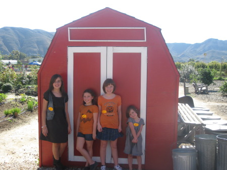 Sierra, Jolie, Bailey & Lolly