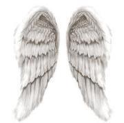 Angel Wings's Classmates® Profile Photo