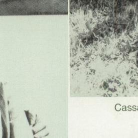 Cassandra Cole's Classmates profile album