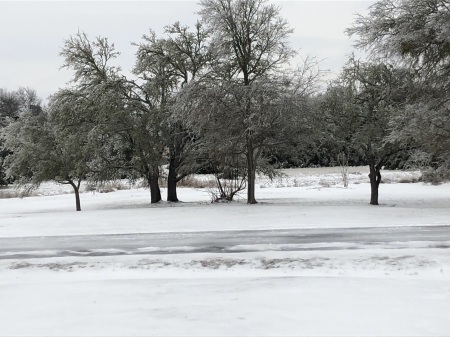 The "Blizzard" of 2021 Liberty Hill, Texas