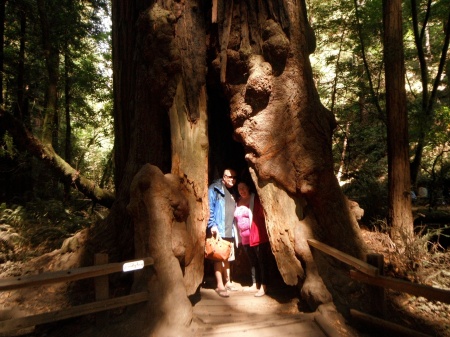 Muir Woods