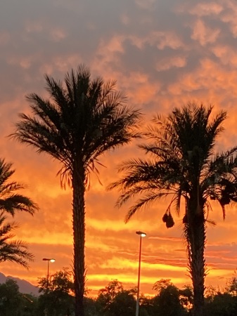 Arizona Sunset 