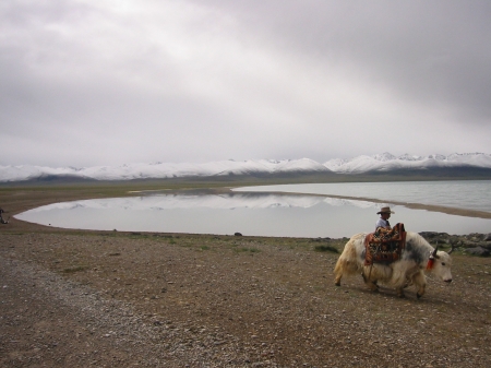 2005 Tibet Nam-Tso 4718m a.s.l.