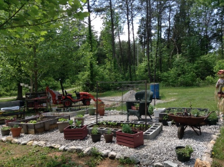 Vicki's garden and tractor