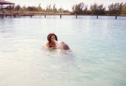 Just Love Dolphins