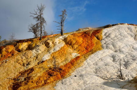 Mammoth Hot Springs, Yellowstone