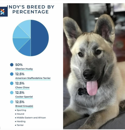 Indiana and his DNA results