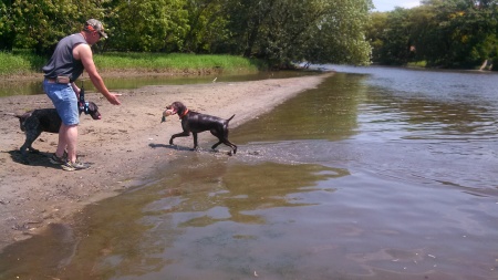 Vogt's Bona-fied Barron training on the river!