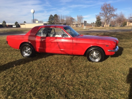 65 Stang