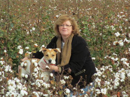 Cotton Field with Lucy, October 2013