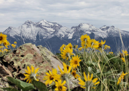 Spring in the Rockies