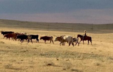 North pasture, Cheyenne, WY