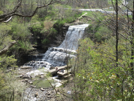 Albion Falls