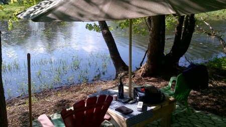 our pond in summer