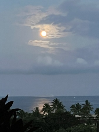 Backyard moon Kona