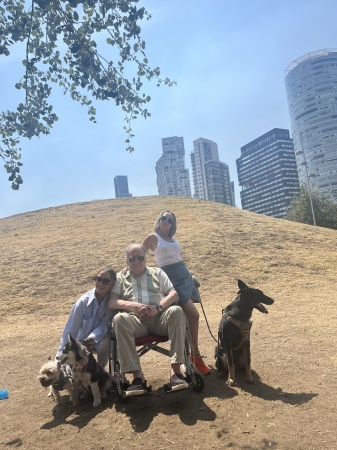 Family day in Mexico City with the dogs! 