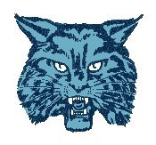 Wilmington Wildcat