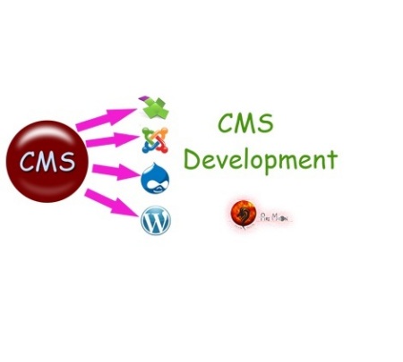 CMS Development company in lucknow india