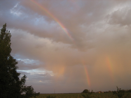 double rainbows