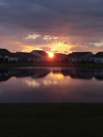 Back yard sunrise