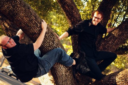 McBride Bros up a tree