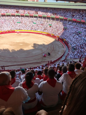 Bull Fight in Pamplona Spain 