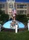 Eastport High School Multi Year Reunion reunion event on Jul 26, 2014 image