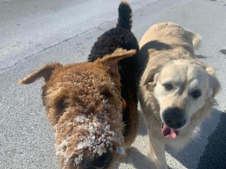 Best  Friends !  Tina  and  Lucy !