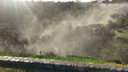 Cool view from my yard one morning