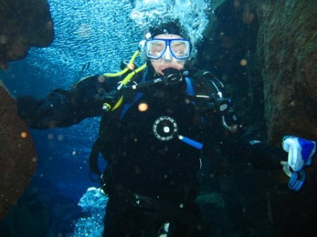 Diving in Iceland